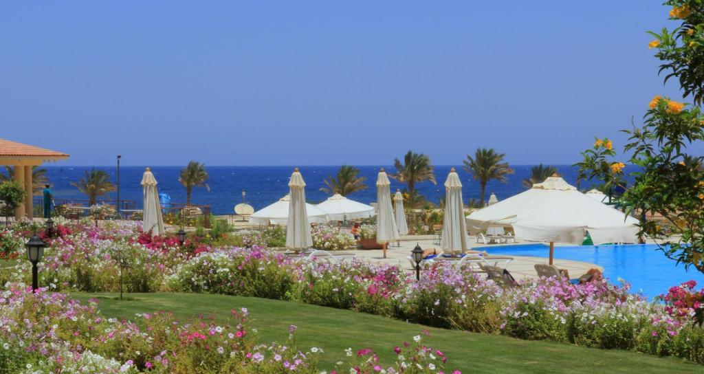 Royal Brayka Beach Resort Abu Dabab Exterior foto